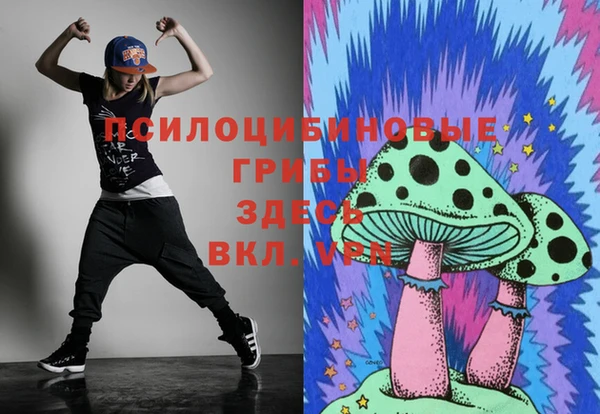 2c-b Горняк