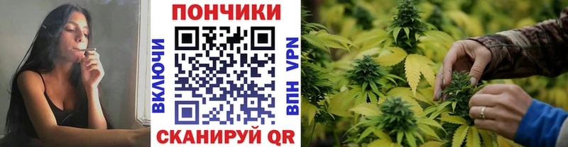 закладки  МЕГА ссылка  Марихуана марихуана  Инза 